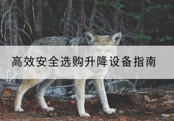 霍尔果斯升降货梯厂家推荐-*安全选购升降设备指南