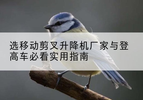 霍尔果斯电动升降机厂家-选移动剪叉升降机厂家与登高车必看实用指南