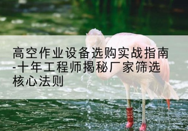 霍尔果斯剪叉式升降机厂家-高空作业设备选购实战指南-十年工程师揭秘厂家筛选核心法则